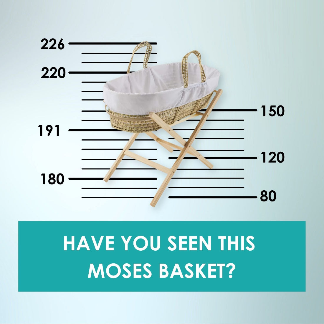 Aldi Special Buy Moses Basket in a mugshot line up with the text "Have you seen this Moses Basket?" | Clair de Lune Baby Essentials - Clair de Lune UK