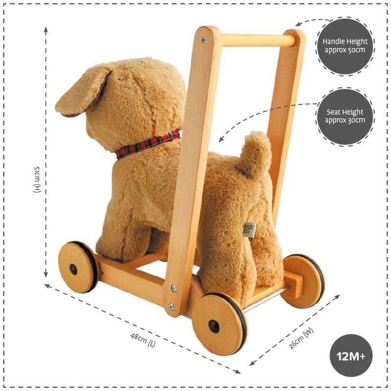The dimensions of the Little Bird Told Me Award-winning 2in1 Dexter Dog Push Along, Baby Walker and Ride On | Baby Walkers and Ride On Toys | Montessori Activities For Babies & Kids | Toys | Baby Shower, Birthday & Christmas - Clair de Lune UK
