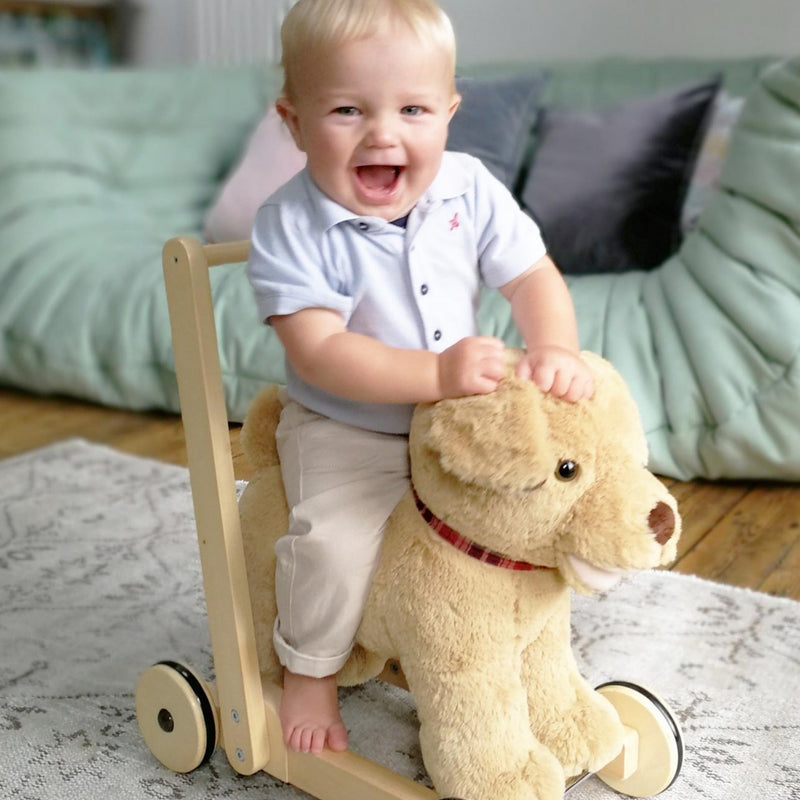 Toddler boy is laughing happily while riding on the Little Bird Told Me Award-winning 2in1 Dexter Dog Push Along, Baby Walker and Ride On | Baby Walkers and Ride On Toys | Montessori Activities For Babies & Kids | Toys | Baby Shower, Birthday & Christmas
