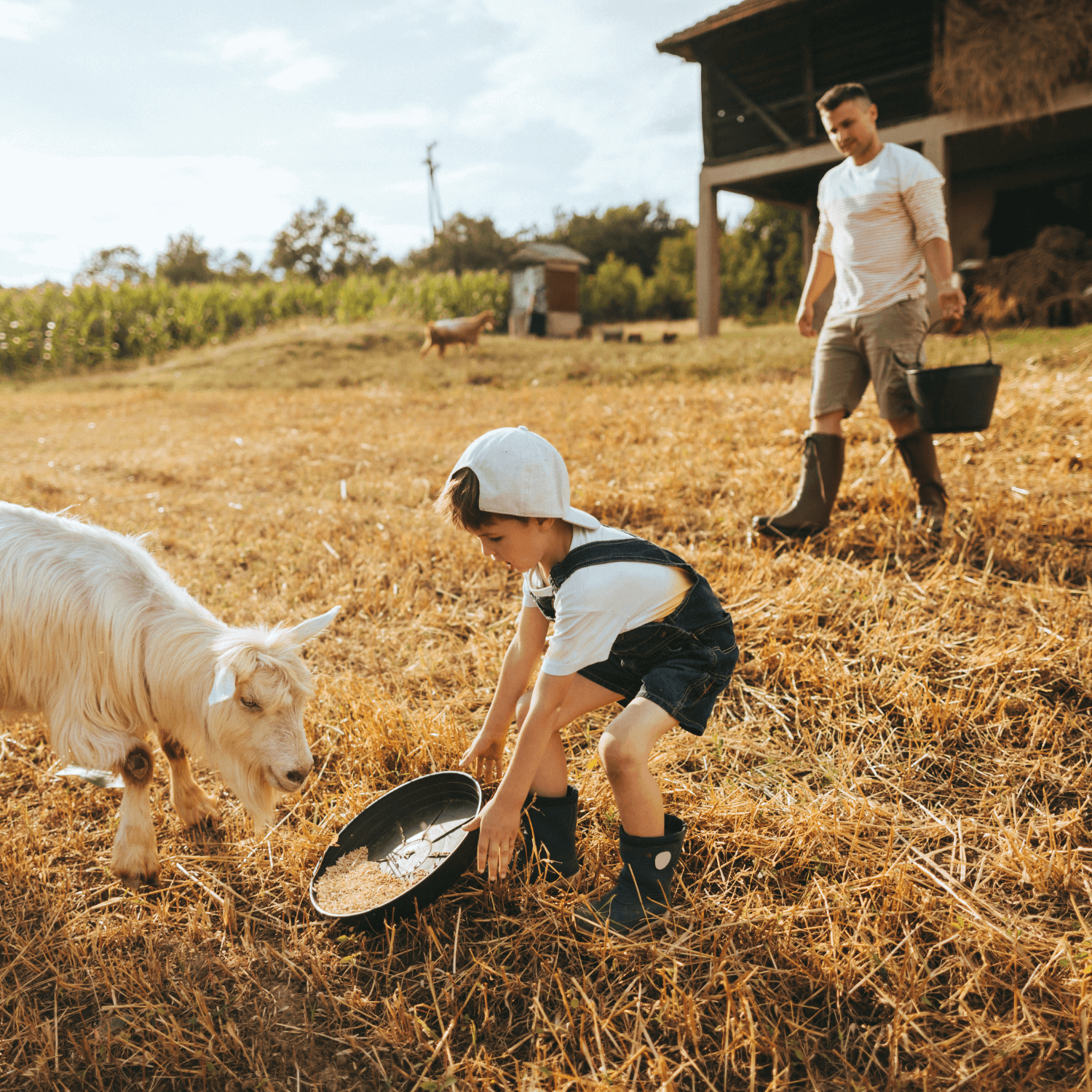 Dad and son in a field wearing t-shirts and wellies feeding a goat | Family Time - Clair de Lune UK