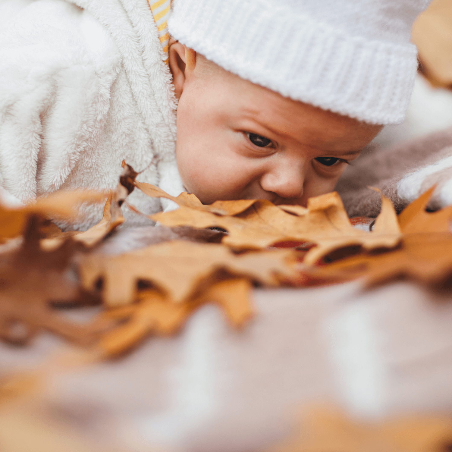 Newborn baby wearing a white knitted hat lying on their tummy on brown autumn leaves | News - Clair de Lune UK