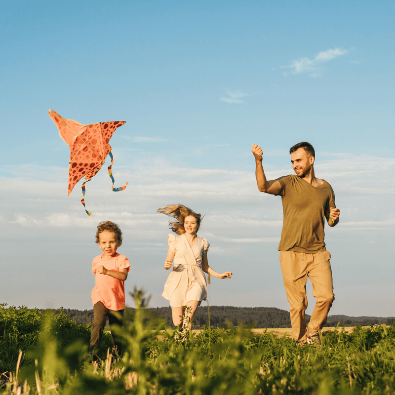 Dad and two kids on top of a grassy hill flying a kite together and smiling on a sunny day | News - Clair de Lune UK