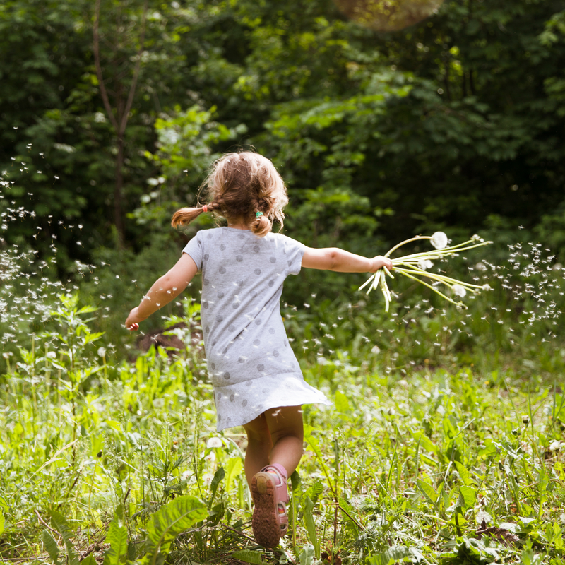 Girl running through the grass holding dandelions and watching them fly in the sunshine | Children's mental health - Clair de Lune UK