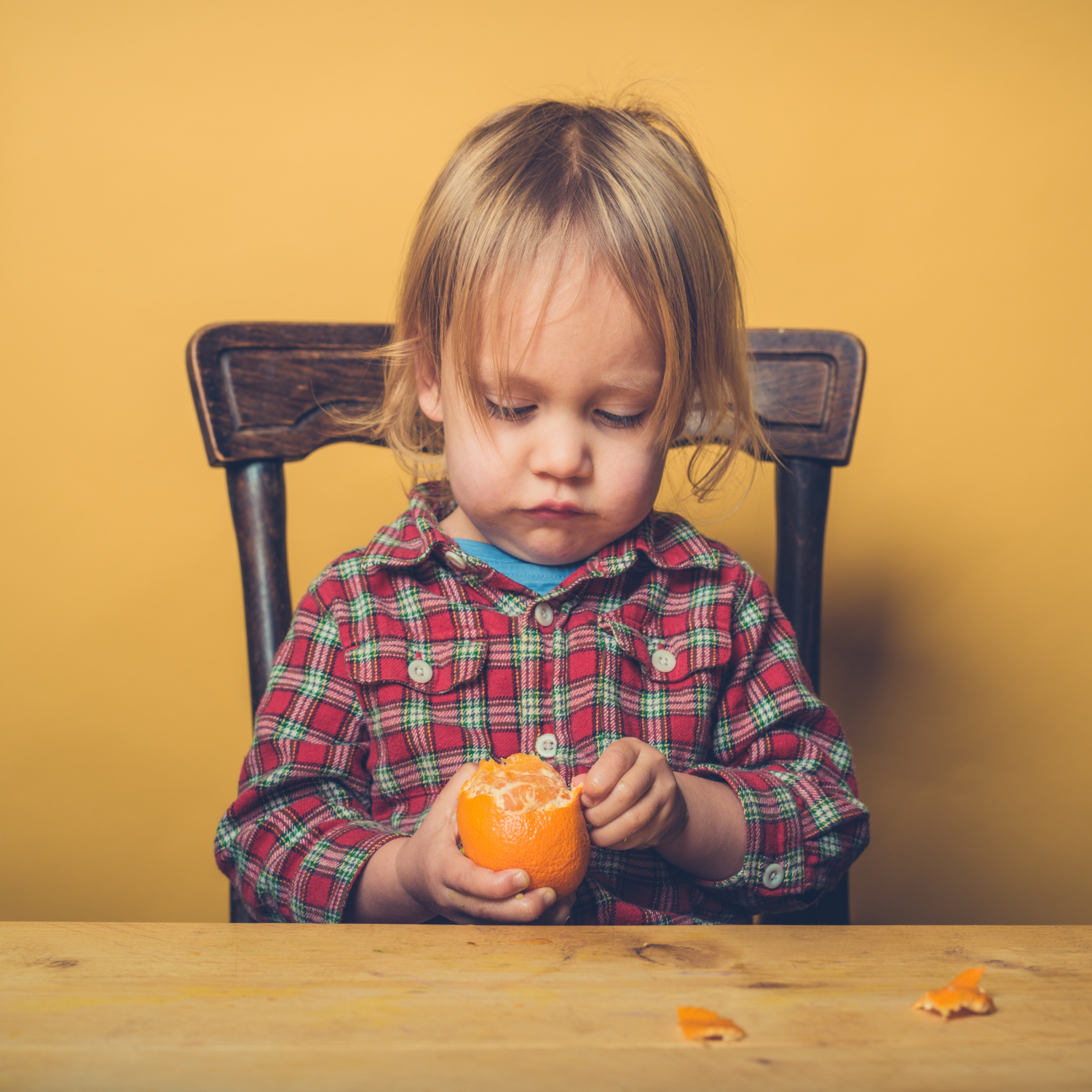 Blonde haired toddler wearing checkered shirt sat on a chair peeling an orange - Clair de Lune UK