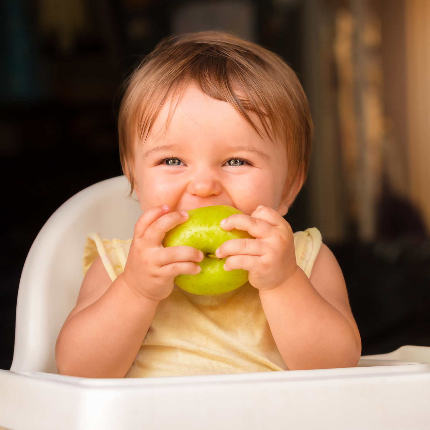 Blonde toddler boy sat in the highchair eating an apple | Feeding and weaning | High Chairs - Clair de Lune UK