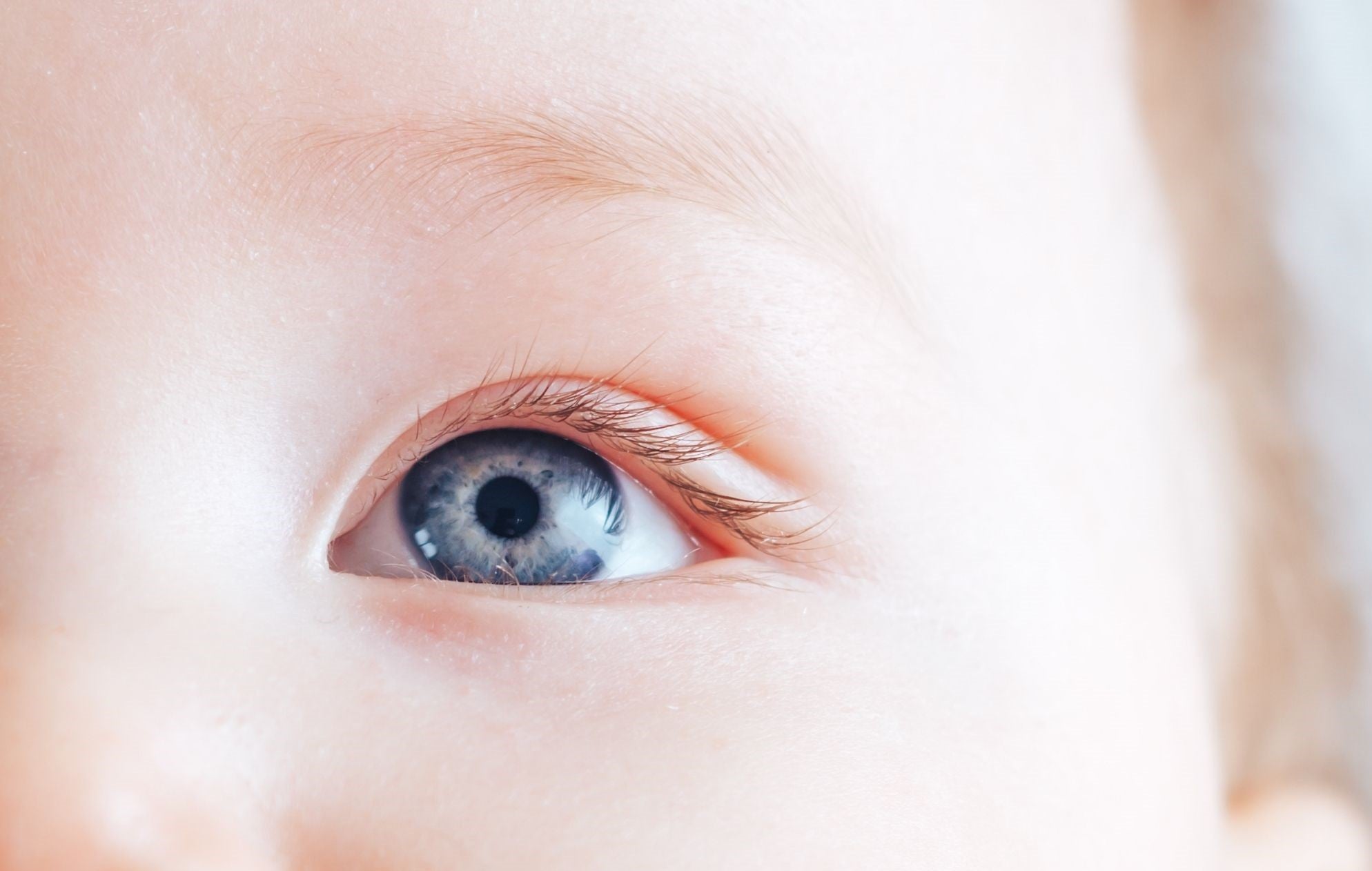 How does a baby's vision develop in their first year?