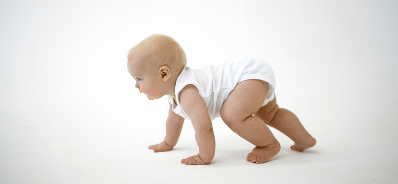A guide to crawling success!