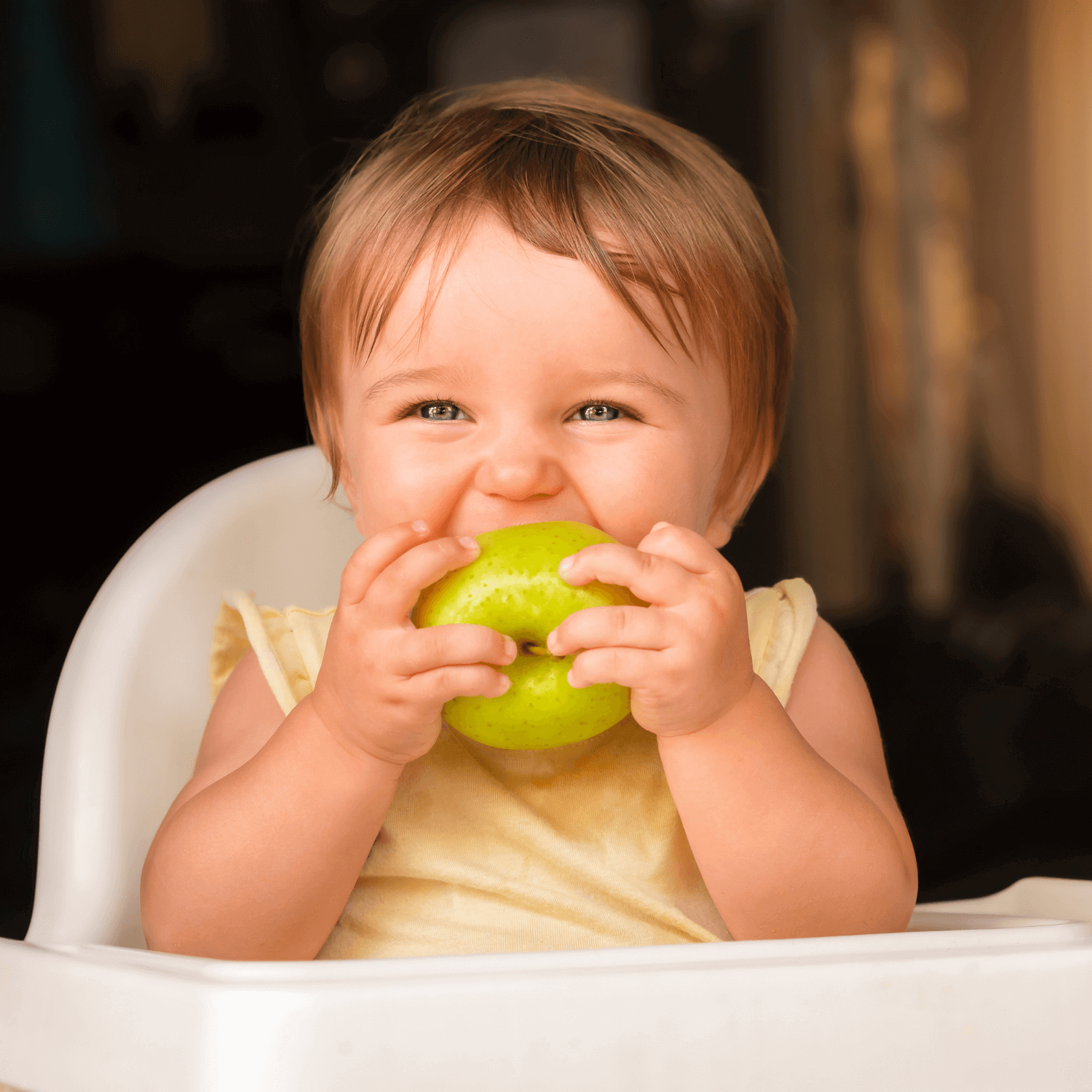 Blonde toddler boy sat in the highchair eating an apple | Feeding and weaning | High Chairs - Clair de Lune UK