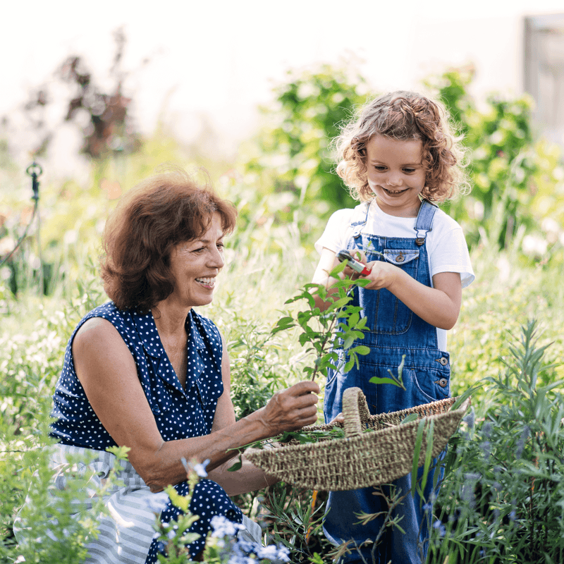 Young girl and her grandma out in nature picking herbs and putting them in a wicker basket | Kids Crafts | Family Time - Clair de Lune UK