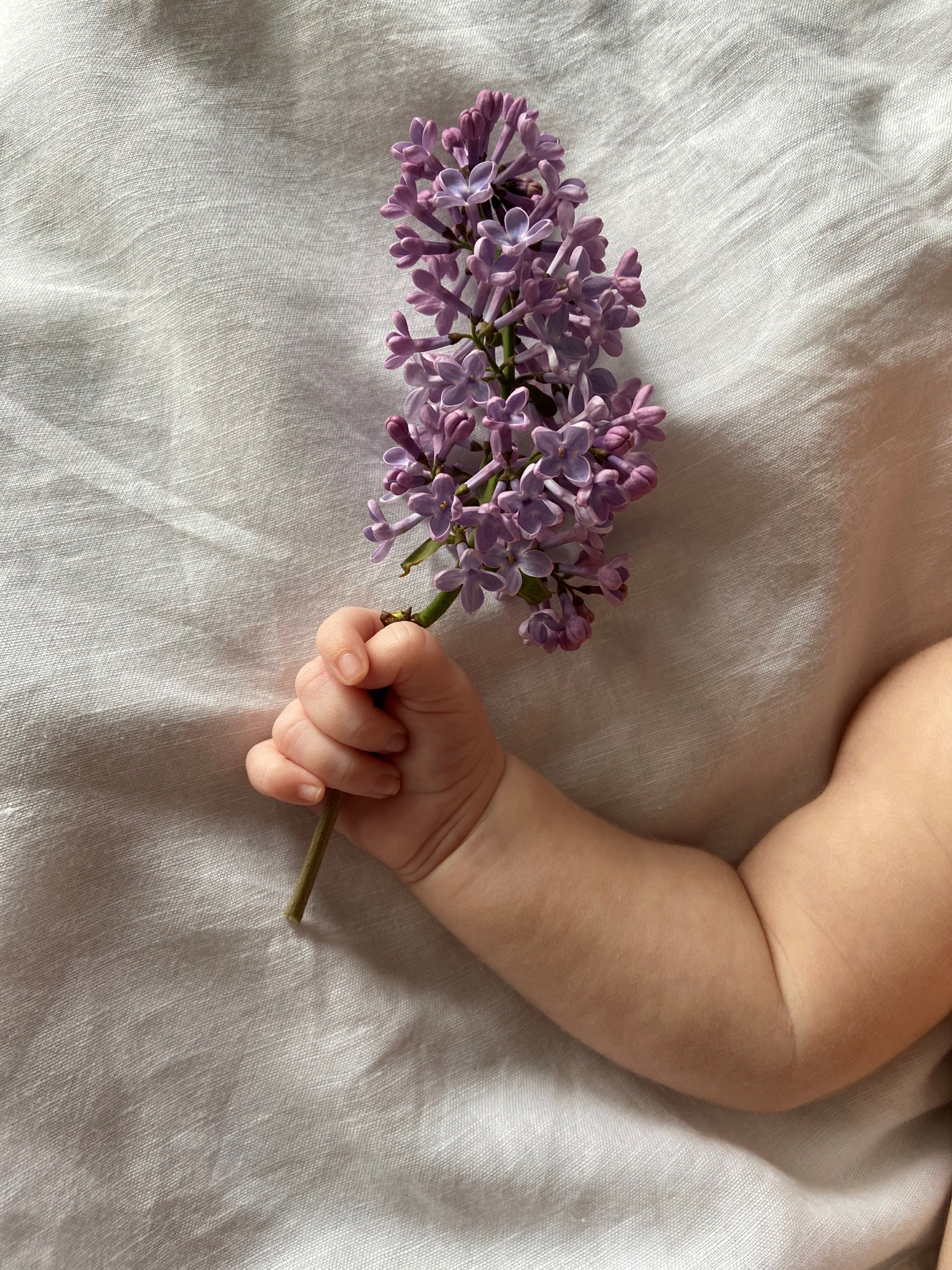 Baby's arm holding a beautiful purple spring bloom while lying on a white muslin sheet | Parenting tips and advice - Clair de Lune UK