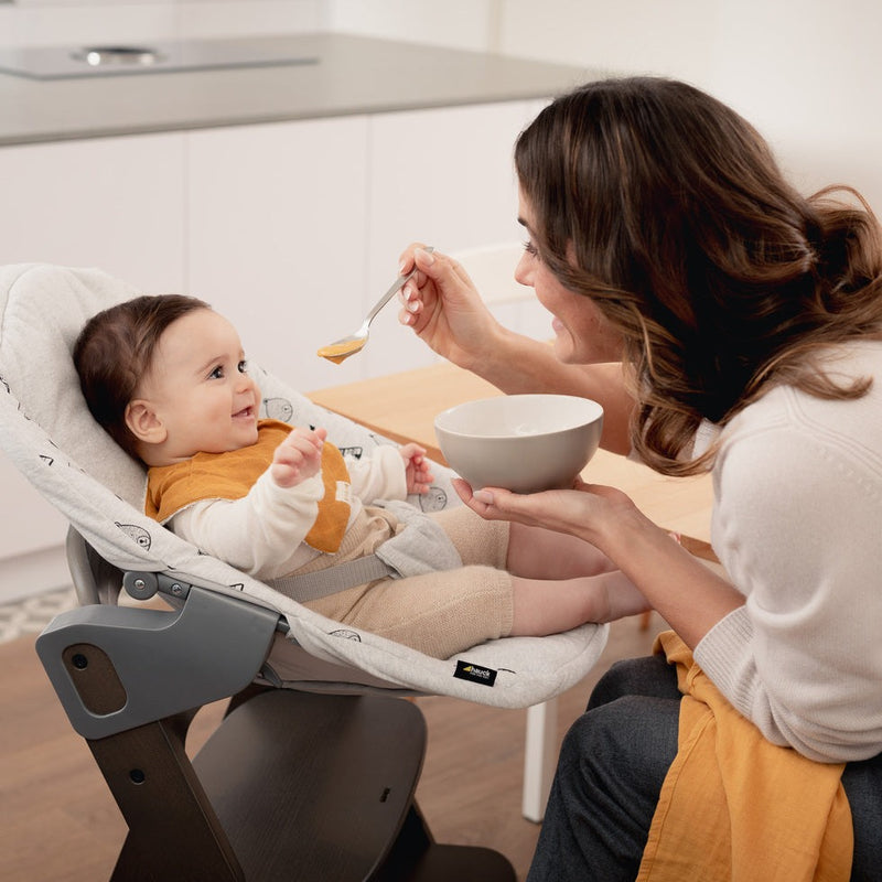 Hauck Alpha+ Bouncer and High Chair Bundle