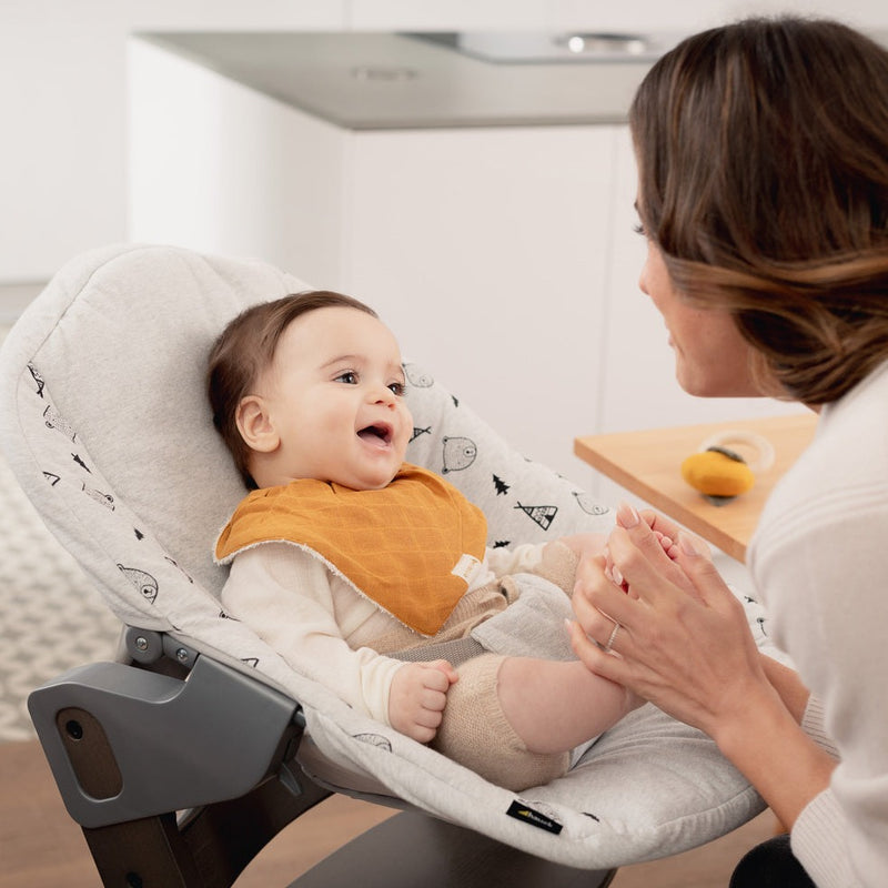 Hauck Alpha+ Bouncer and High Chair Bundle