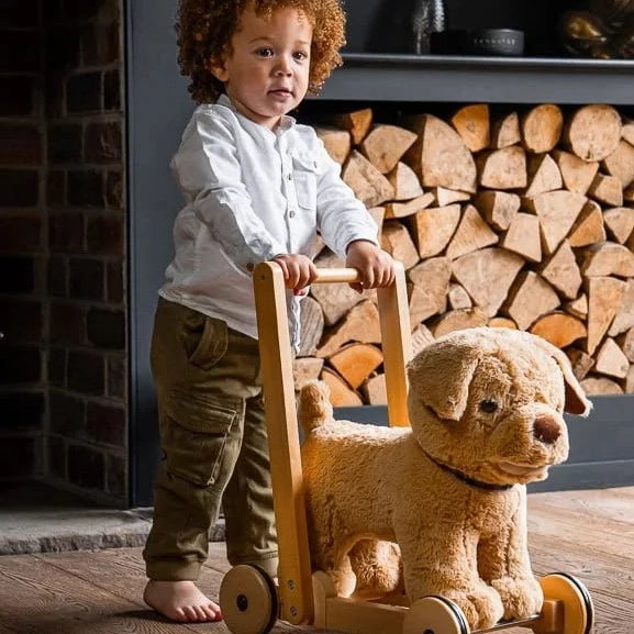 Boy pushing the Little Bird Told Me Award-winning 2in1 Dexter Dog Push Along, Baby Walker and Ride On in a cosy grey and green living room | Baby Walkers and Ride On Toys | Montessori Activities For Babies & Kids | Toys | Baby Shower, Birthday & Christmas