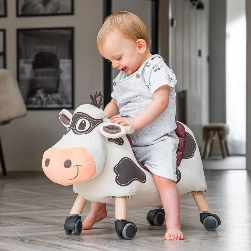 Little bird toys hot sale