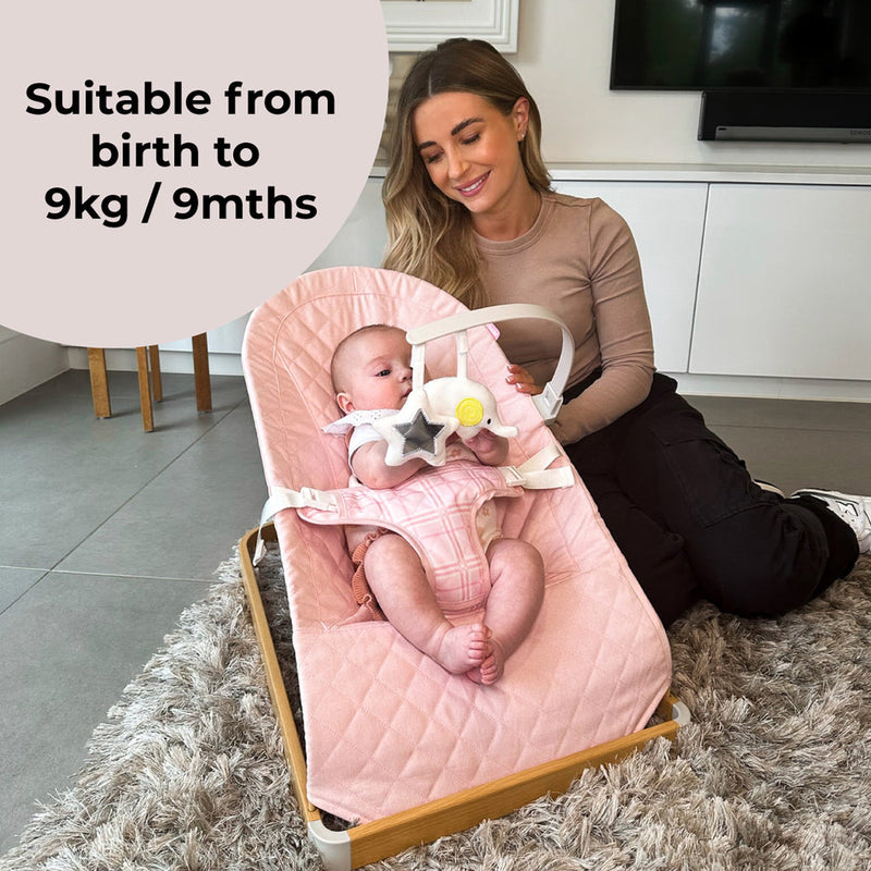 My Babiie Dani Dyer Pink Plaid Baby Bouncer suitable from birth to 9 months| Baby Swings, Rockers & Baby Bouncers | Toys - Clair de Lune