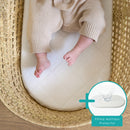 Quilted Noah Pod/Palm Moses Basket Mattress (74 x 28 cm)