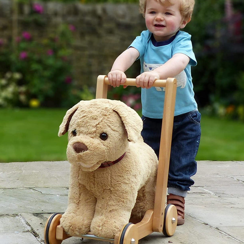 Toddler boy is enjoying pushing the Little Bird Told Me Award-winning 2in1 Dexter Dog Push Along, Baby Walker and Ride On | Baby Walkers and Ride On Toys | Montessori Activities For Babies & Kids | Toys | Baby Shower, Birthday & Christmas - Clair de Lune